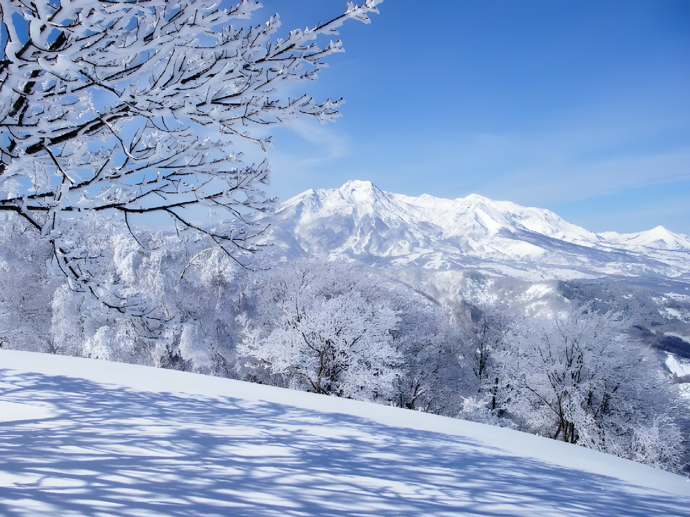 斑尾高原の霧氷と雪山